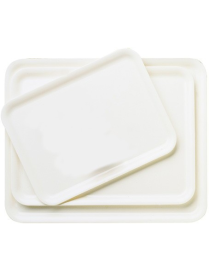 BAKERY L. TRAYS PAPERONE 46X66 114