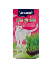 L.PET CAT-GRASS MISCELA SEMI GATTO 24031