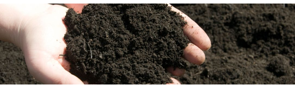 SOIL AND SOIL CONDITIONER (24020)